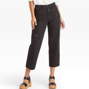 Universal Thread Vintage Straight Jeans